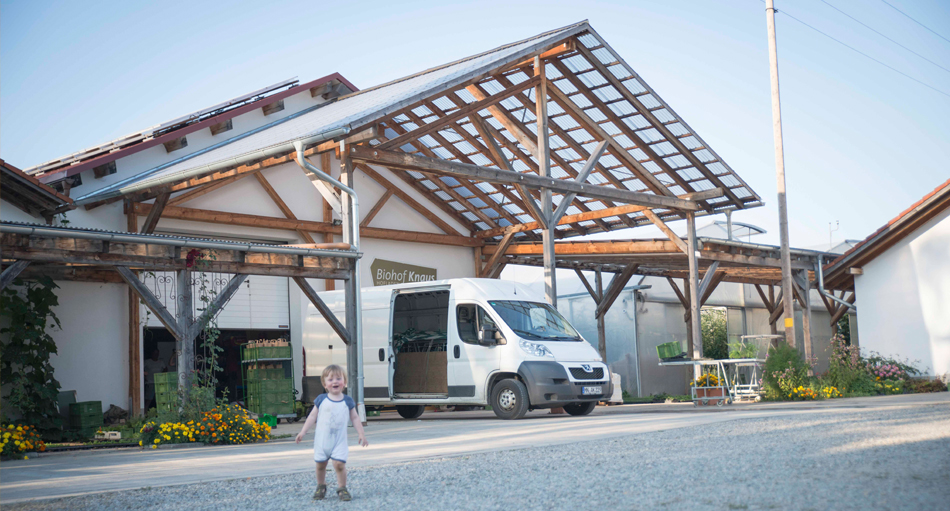 Frisches Bio Gemüse das ganze Jahr: Ihr Biohof Knaus in Mindelheim und Mussenhausen.